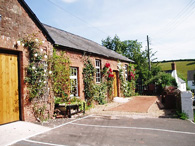 white horse outside-alley